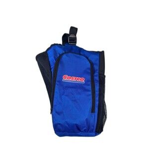 Costco Wholesale cooler tote bag blue mesh
